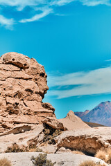 Laguna colorada in Bolivia, Amazing landscape