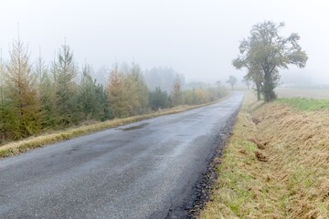 Wet rural asphalt road. Fog on the road. Dangerous weather. Dangerous road.