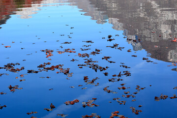 Fototapety na wymiar - Fototapeta24.pl