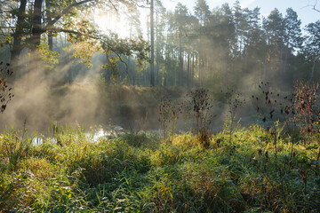 Naklejka na ściany i meble Poranna mgła unosząca się nad rzeką płynącą przez las.