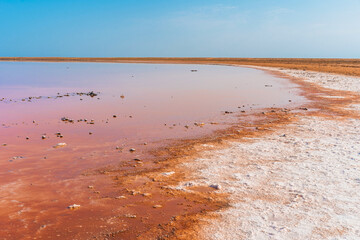 Unusual pink salt lake in the Crimea. Incredible reflection on the water surface
