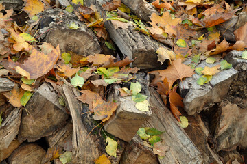 herbstlaub auf holzscheiten