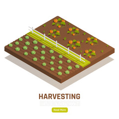 Farming Harvesting Isometric Composition 