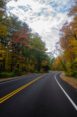 road in autumn forest