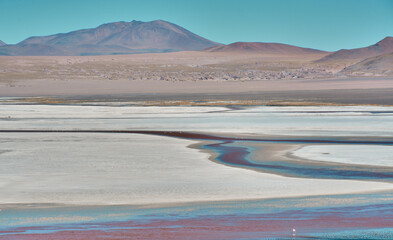 Laguna colorada in Bolivia, Amazing landscape