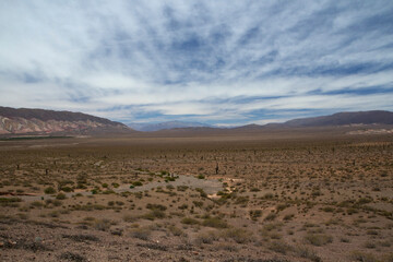 Fototapeta na wymiar Desert landscape. View of the arid land, valley, vegetation and mountains in Los Cardones National Park in Salta, Argentina. 