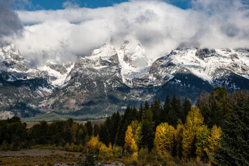 Fototapeta na wymiar Snow capped mountains and yellow leaves in the fall of The Grand Tetons.