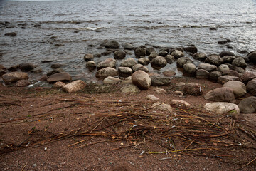 Surf zone in the Gulf of Finland with reeds and debris washed ashore