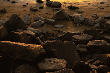 Gulf shore, surf strip, scattering of granite stones, wet sand gilded by the evening sun