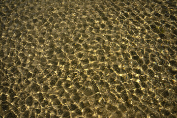 Shallow water on a sunny day. Morning sun. Close-up. Sea on a sunny day.