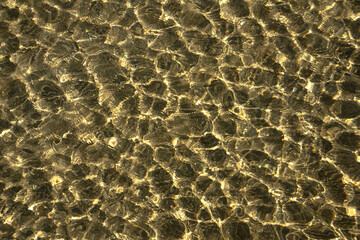 Shallow water on a sunny day. Morning sun. Close-up