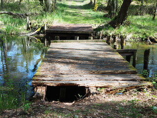 old ruined wooden bridge in the forest - 389256561