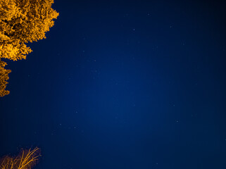 Fototapeta na wymiar Night sky with stars and autumn trees