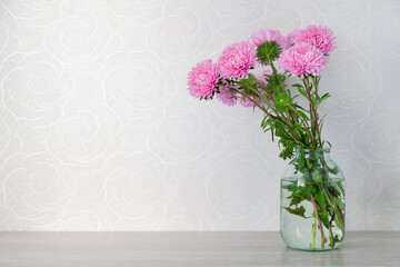 Pink chrysanthemum on white background