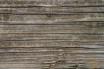 Obraz premium Wood texture