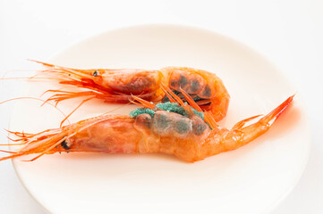 卵を抱いた甘海老