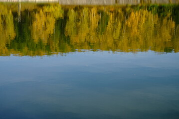 reflections in the water