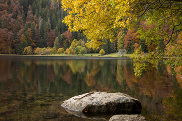 Herbst im Schwarzwald © josevandyk