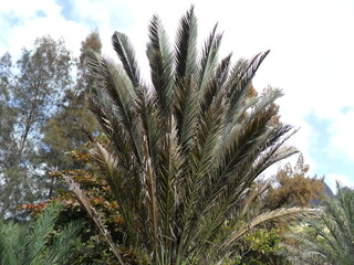 Exploring the volcanic coastal landscapes of the Cape Verde Islands in the Atlantic West Africa