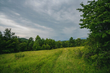 Fototapeta premium Landscape in Slovakia countryside