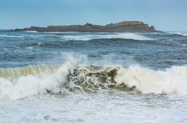 Izaro island, Bermeo, Cantabrian Sea, Urdaibai, Bizkaia, Basque Country, Spain, Europe