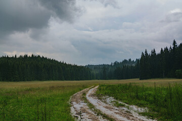 Fototapeta na wymiar Landscape in Slovakia countryside