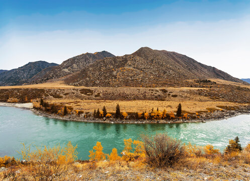 Katun bilder Bläddra bland 12,752 stockfoton, vektorer och videor