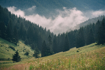 Fototapeta premium Landscape in Slovakia countryside