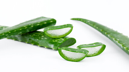 Aloe vera fresh wet leaves and slices