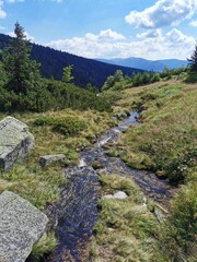 Naklejka na ściany i meble pure brook in the czech mountains