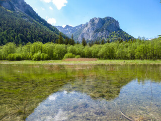 A crystal clear lake in Hochturm region, Austrian Alps. There are massive mountains in the back. The shore of the lake is overgrown with bushes and high grass. Soft reflections in the lake's surface