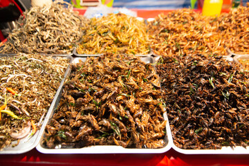 Worms and fried insects Spicy stir-fry at a market in Thailand that is Thai food. And has a lot of natural proteins.