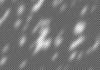 Vector Transparent Shadow of Foliage Silhouette. Decorative Design Element for Banners and Posters. Shadow Overlay Effect for Mockups