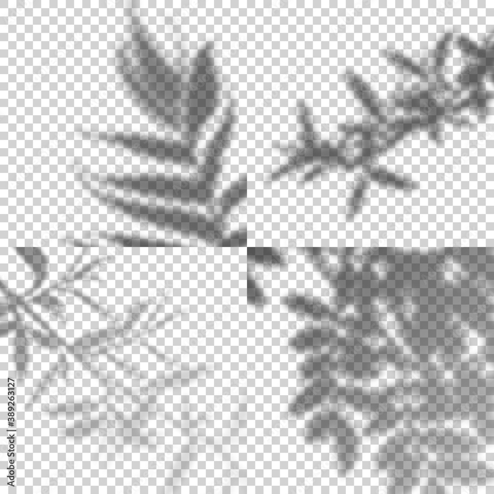 Fototapete Vector Set of Transparent Shadows of Leaves and Branches. Decorative Design Elements for Collages. Creative Overlay Effect for Mockups