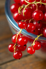 Fresh red currant berries in plate