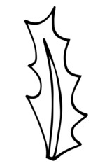 Simple mistletoe leaf sketch