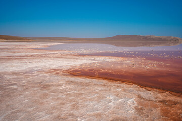 Unusual pink salt lake in the Crimea. Incredible reflection on the water surface