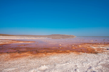 Unusual pink salt lake in the Crimea. Incredible reflection on the water surface