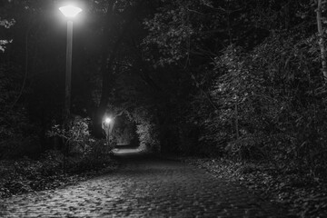 A cobblestone street that leads through a forest, cobblestone street at night, street lamps at night, black and white photo