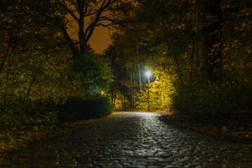 Obraz premium A cobblestone street that leads through a forest, cobblestone street at night, street lamps at night