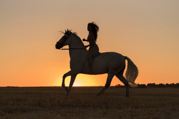 Attractive young Caucasian female with a beautiful dress riding a horse in countryside at sunset