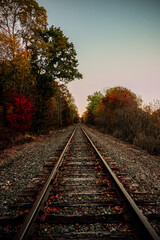 Obraz premium Railroad Tracks Going Through the Autumn Forest