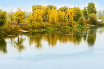 River water landscape. Forest river in autumn. Forest lake view. Autumn forest river refelction in water. Autumn nature forest river landscape. Lake water reflection in autumn.