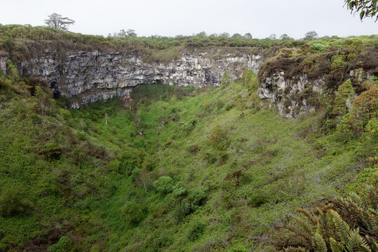 Pit crater (Los Gemelos), Santa Cruz Island, Galapagos, Ecuador