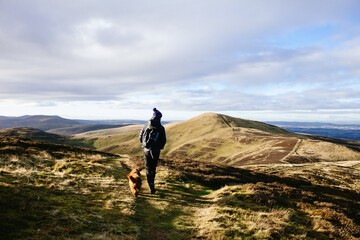 Fototapeta premium A man and a cavapoo dog are hiking up the Ben Venue in Scotland. 
