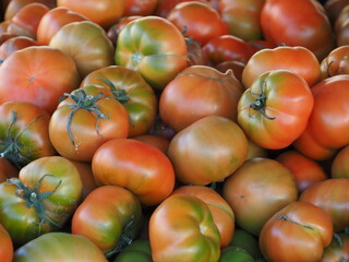 tomatoes in market