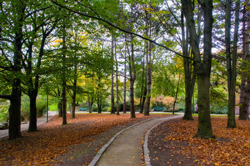 Autumn alley in the the Parc Georges Brassens - Paris, France