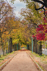 Autumn alley in the Isle of the Swans (Ile aux Cygnes) - Paris, France