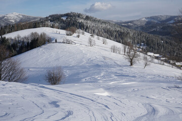 Obraz premium Wonderful winter landscape. Magnificent highlands on a sunny day. Winter mountain forest. Snowy mountains and beautiful blue sky. Amazing nature background. Winter postcard. Ski slope. Wind walking on