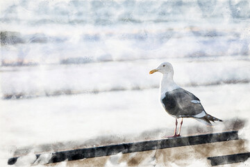 Obraz premium seagull sitting by the beach in watercolors